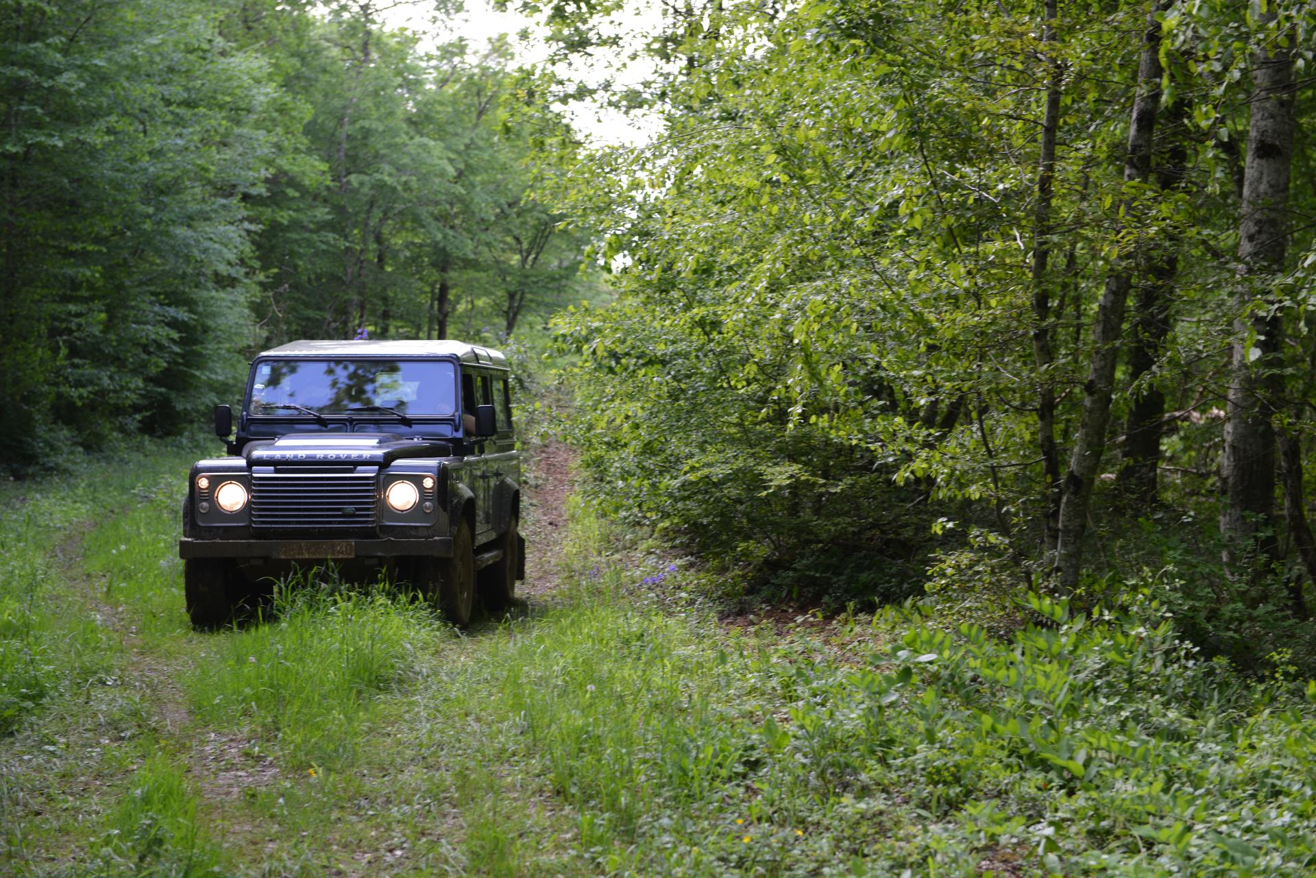 dsc-6483.JPG