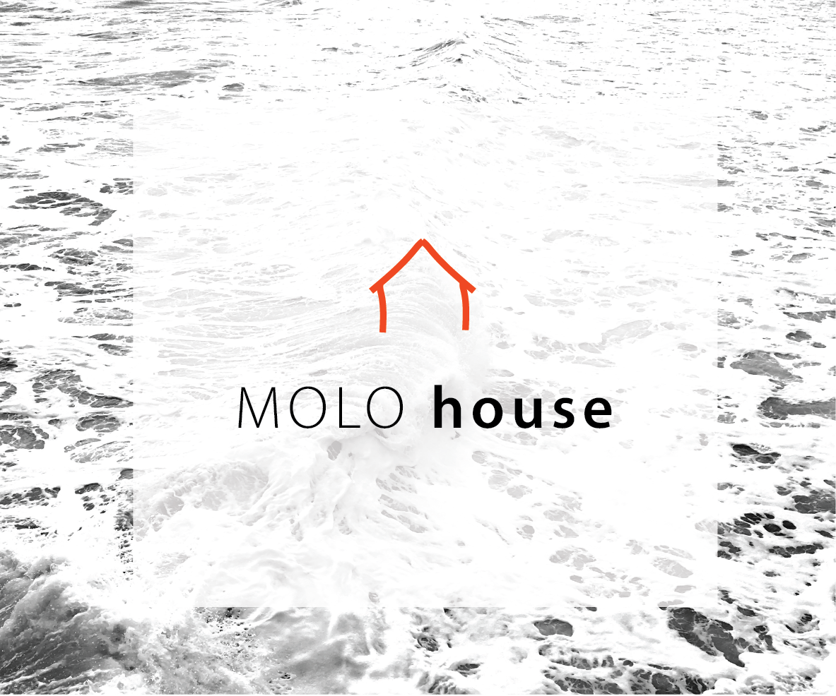 MOLO house