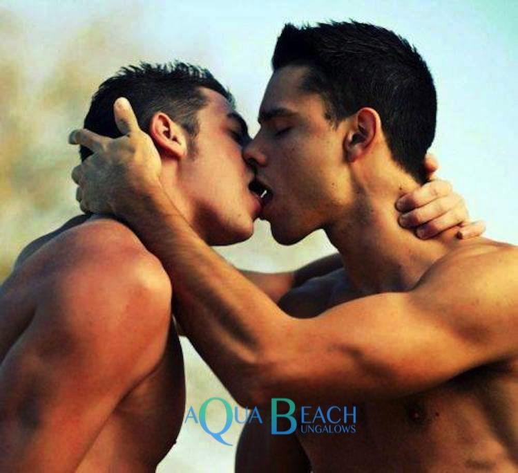 gay accommodation. Aqua Beach Bungalows Gay men-only, zoenende mannen