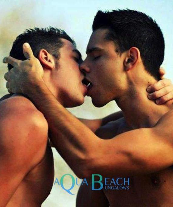 gay accommodation. Aqua Beach Bungalows Gay men-only, zoenende mannen