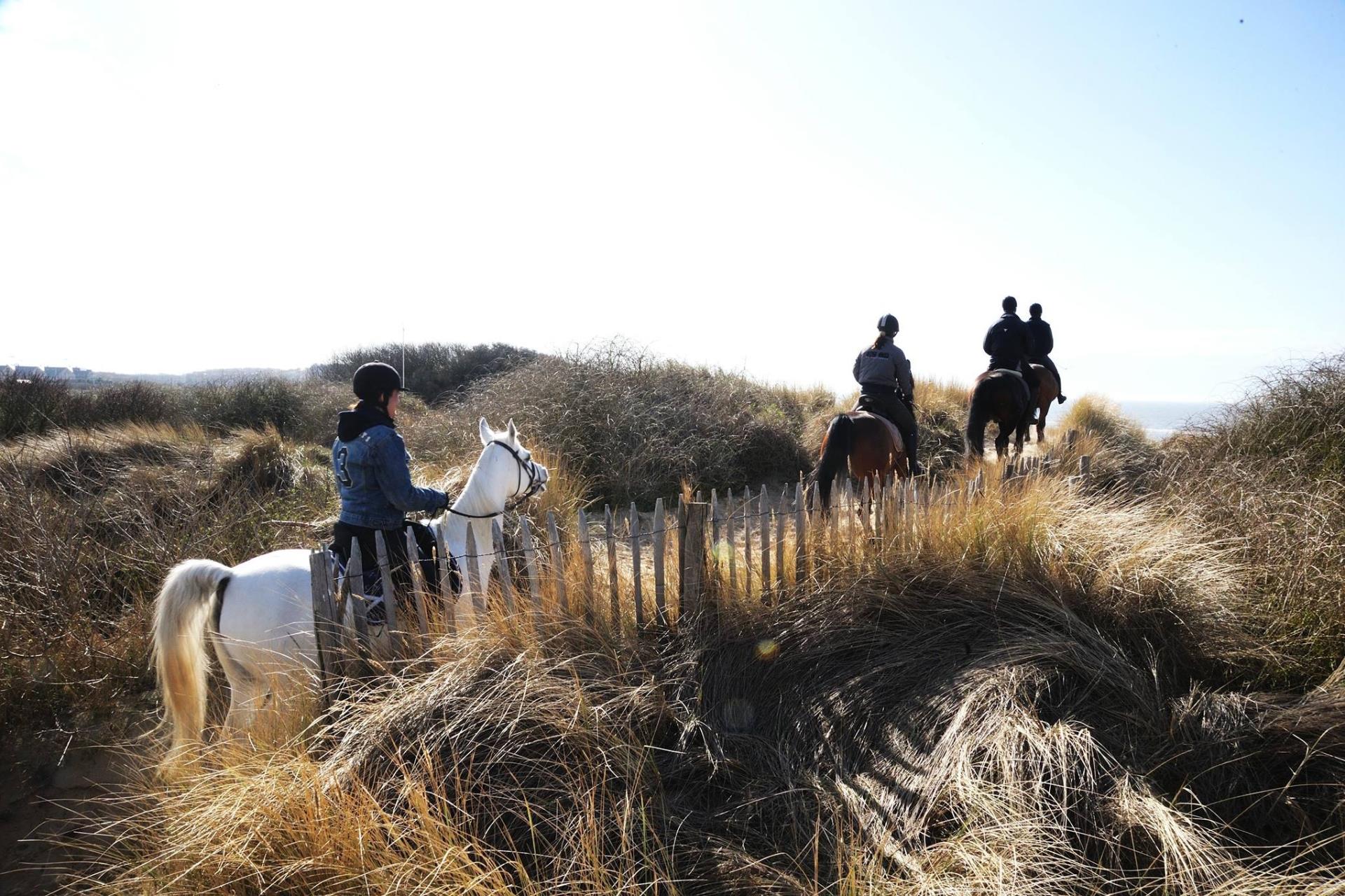 Casselbergh® Residences