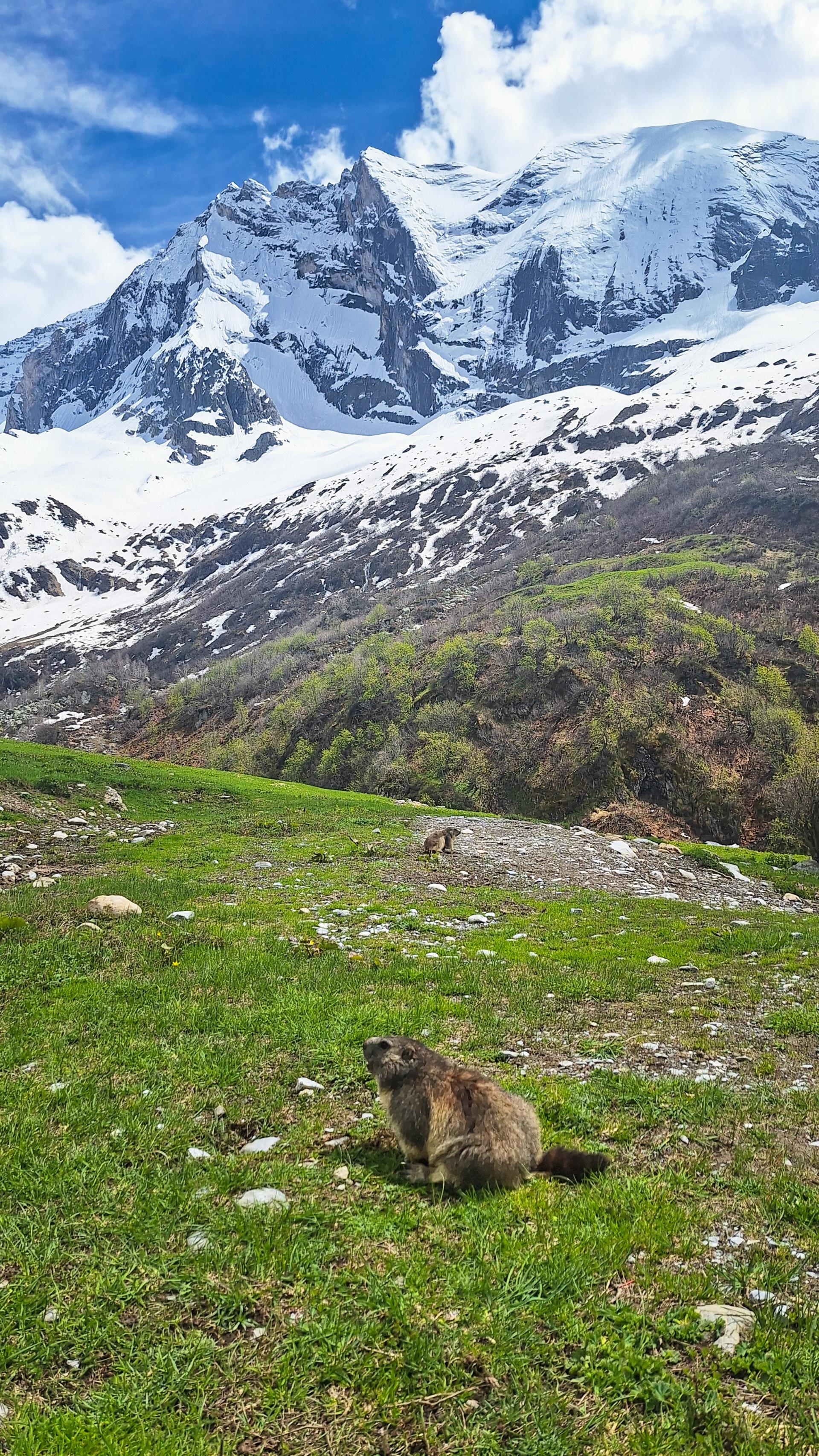 Lodge Les Merisiers