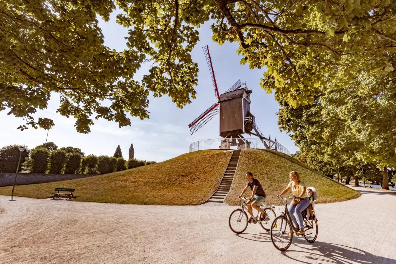 Koffieboontje Budget