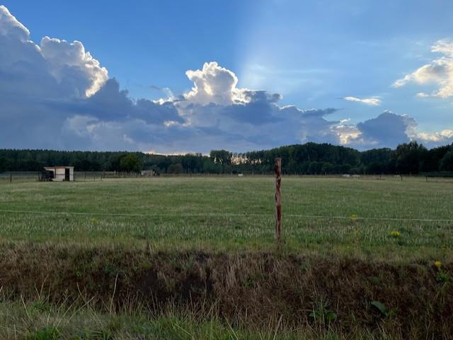 Villa Tartine Villa Tartine