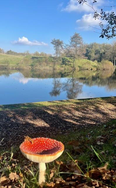 Villa Tartine Villa Tartine