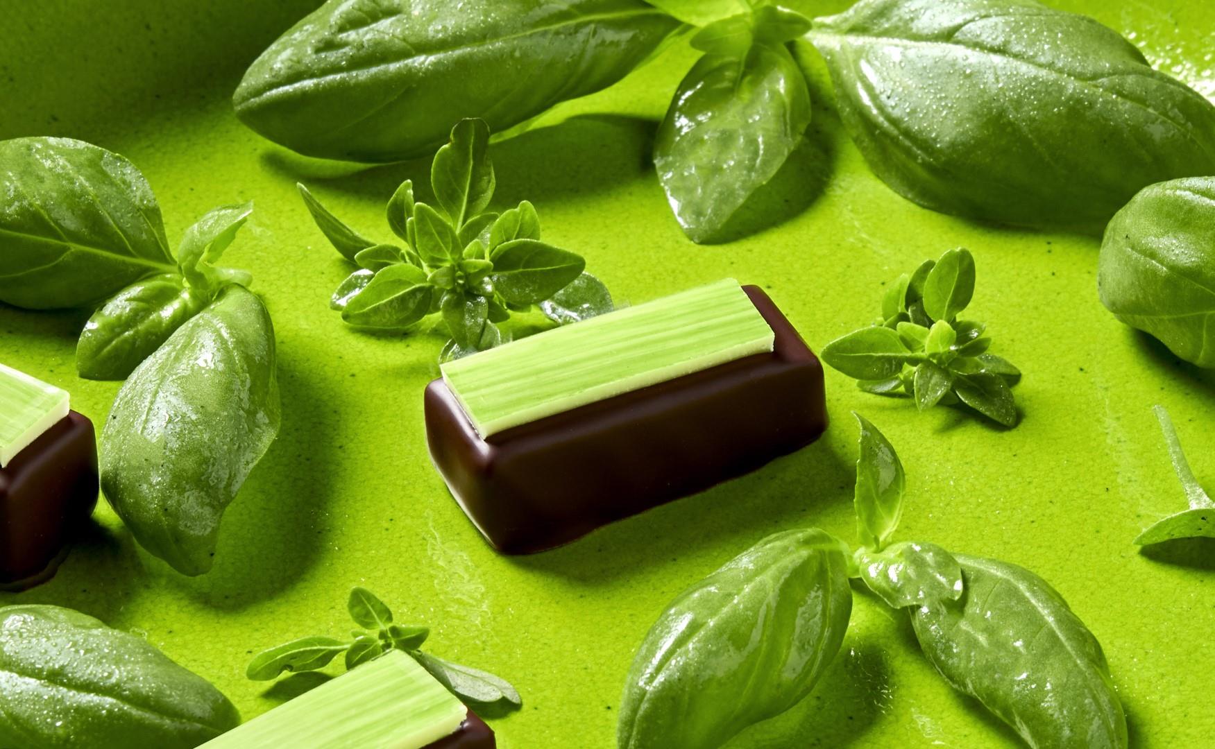 Chocolatier M