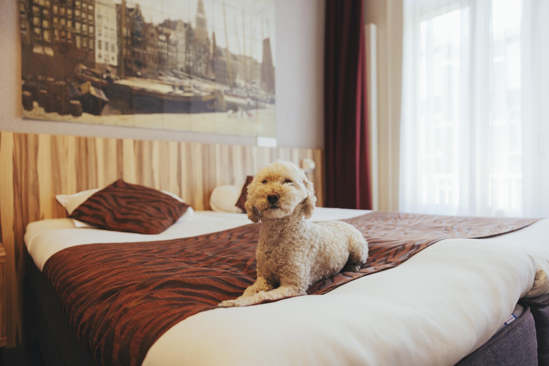 Hotel Asterisk