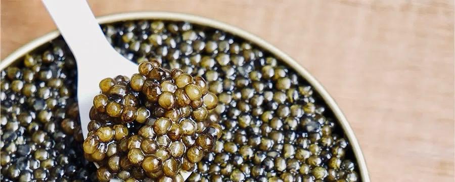 Lebeau by Livingroom