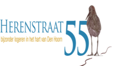 Apartments - Herenstraat 55