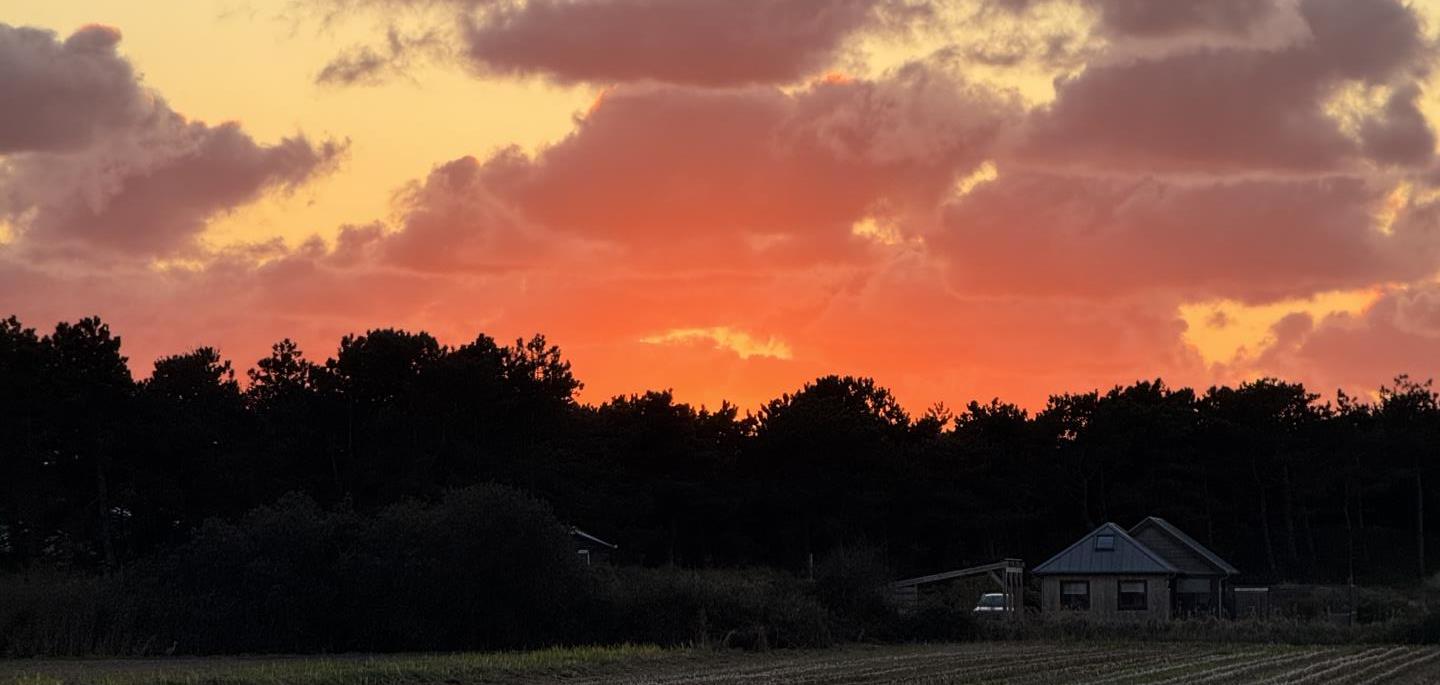 Apartments - Herenstraat 55