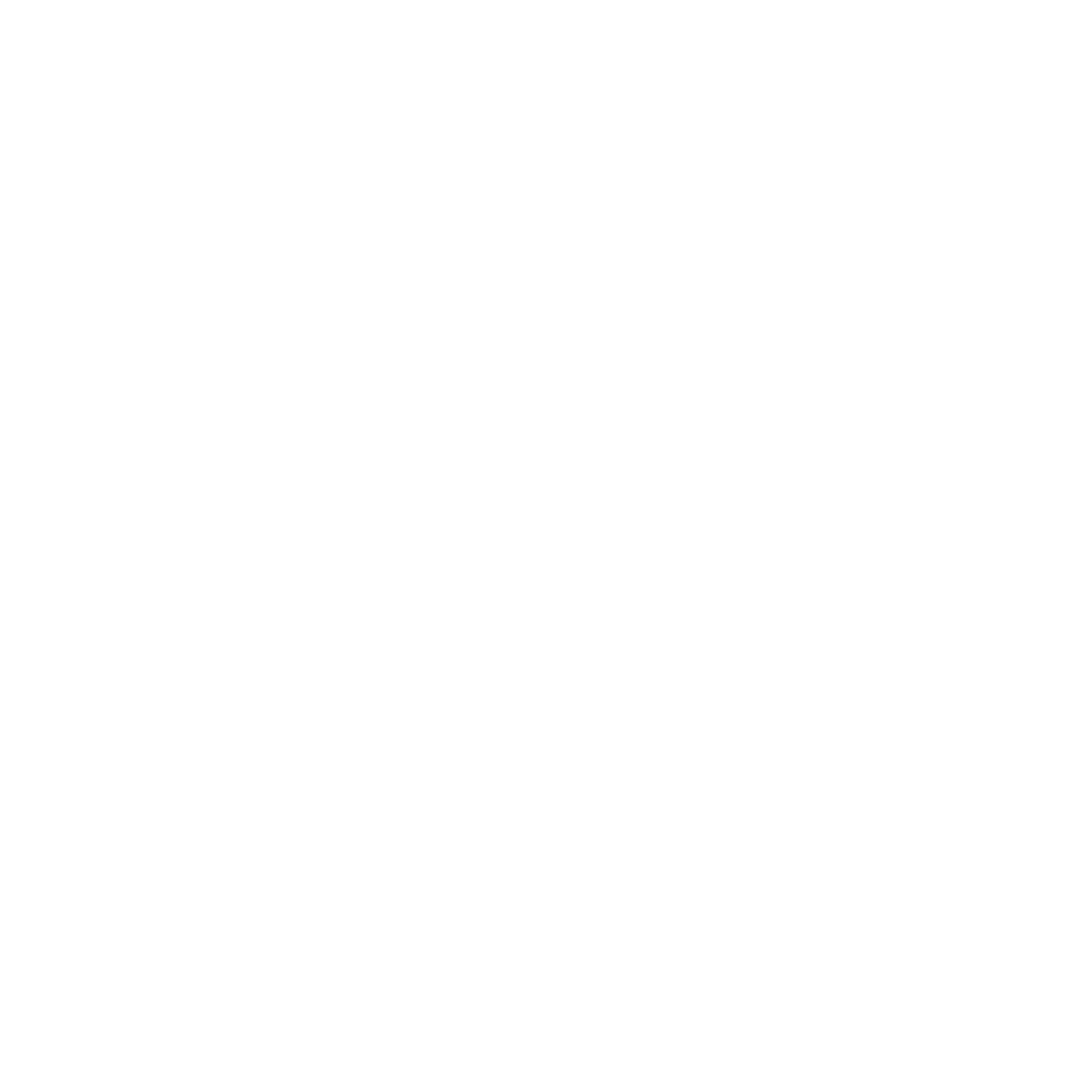 Rain shower head