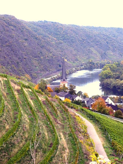 Hotel Zur Dorfschänke