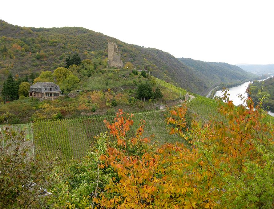 Hotel Zur Dorfschänke