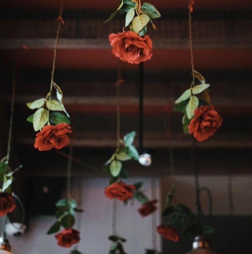 Hotel Rose Red Hotel Rose Red