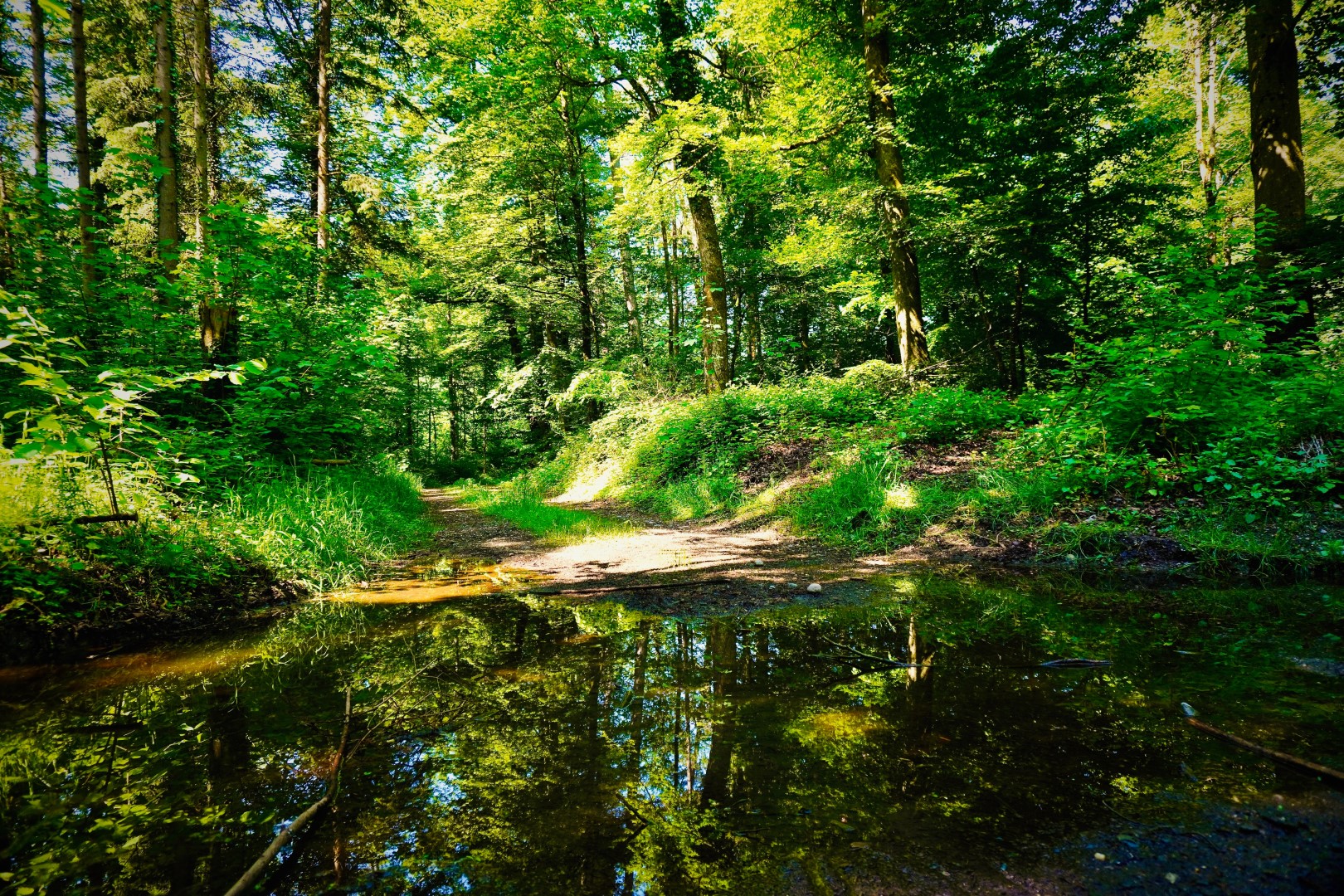 Green Resort Limburg