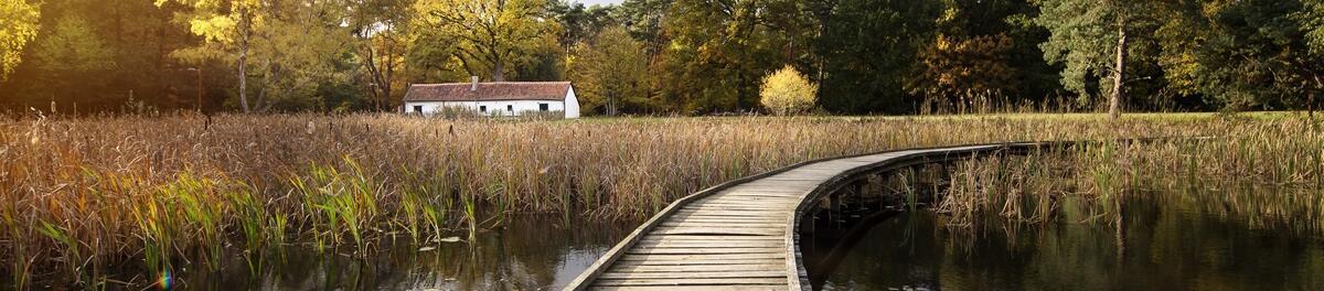 Green Resort Limburg