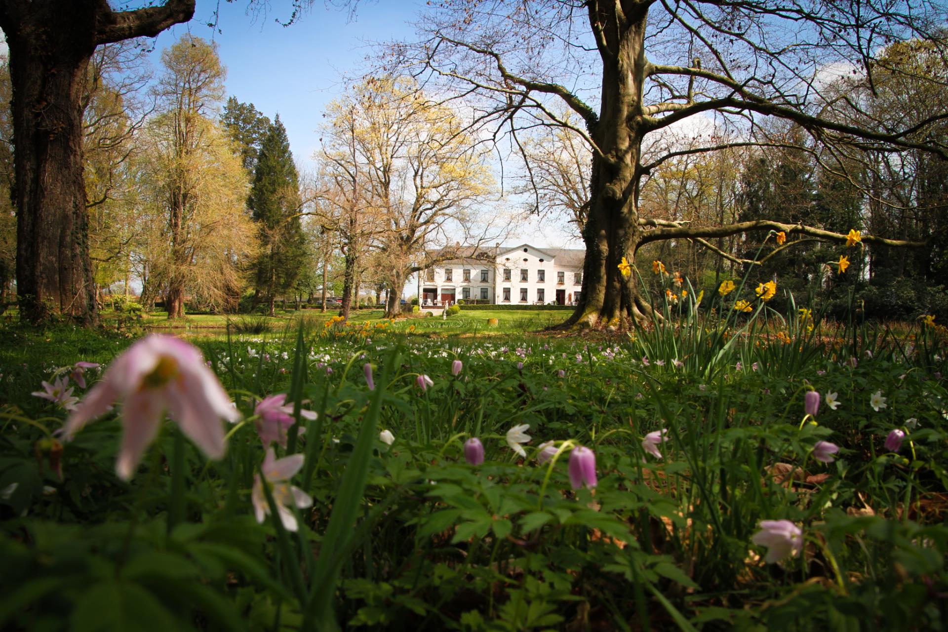 Kasteel van Nieuwland