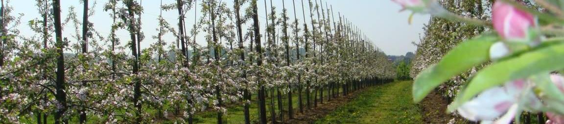 Kasteel van Nieuwland